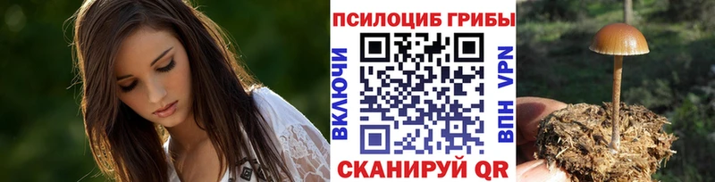 продажа наркотиков  Салават  KRAKEN ONION  Галлюциногенные грибы прущие грибы 